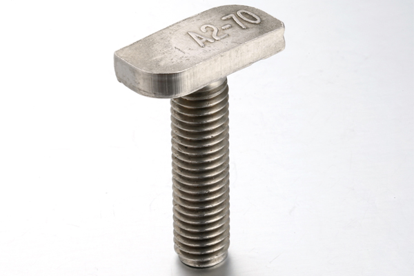 Fastener Hardware Wholesale Stainless Steel T Head Bolt Hammer Bolt