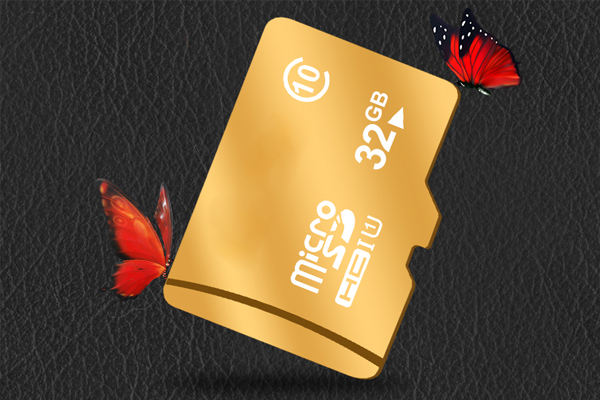 Custom Flash Memory Card Camera/ Phone